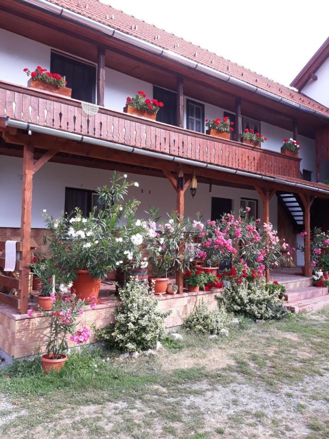 Molnár Vendeghaz Acomodação com café da manhã Praid Exterior foto